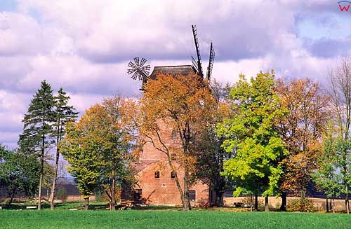 Wiatrak w Starej Różance warm-maz